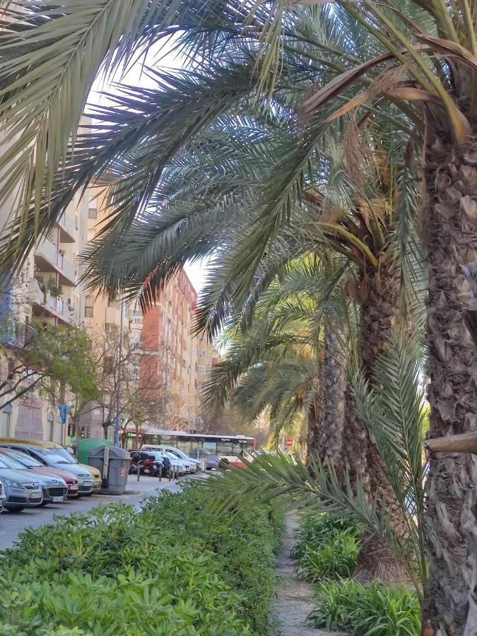 Casa De Mila Daire Alicante Dış mekan fotoğraf